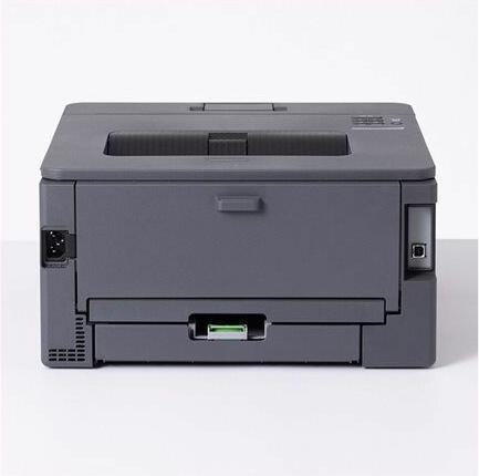 Actual product image Brother DCP-L2620DW (Laser, Black and white)