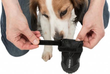 Immagine prodotto Trixie Deambulatore Paw Protector Active Gr.L (L, Scarpe per cani)