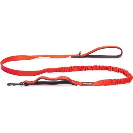 Beeztees Premium Elastic Leine (Cane, Passeggiare, Sport cane), Collare + Guinzaglio