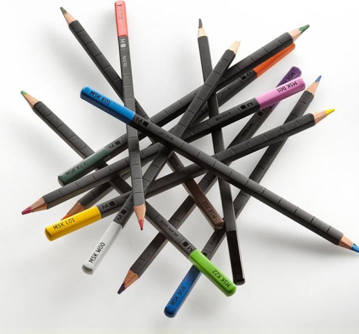 Immagine prodotto Moleskine Naturalmente intelligente (12x)