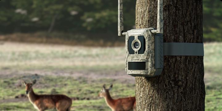 Image du produit Reolink Talon Pro 4G Trail Camera for Outdoor Use