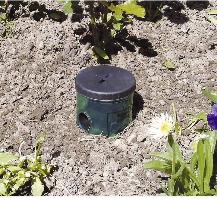 Actual product image Swissinno Snail trap Natural Control