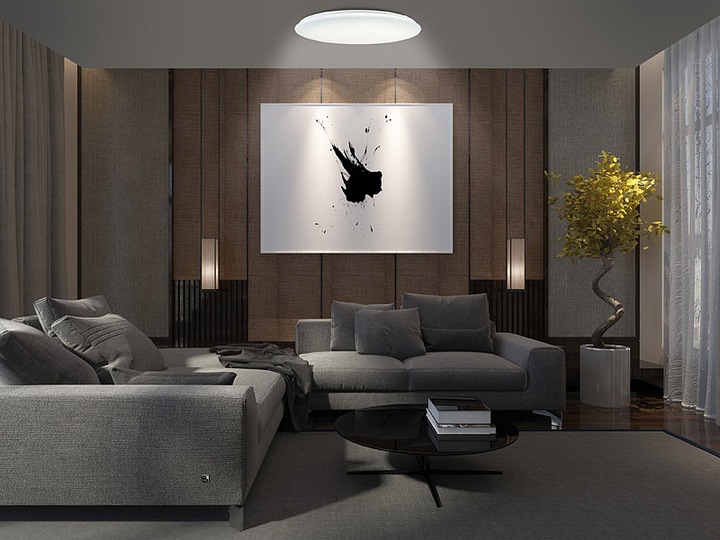 Immagine prodotto Luminea Plafoniera WLAN star per Siri, Alexa, GA, CCT, 36 watt, Ø 48 cm (2500 lm)