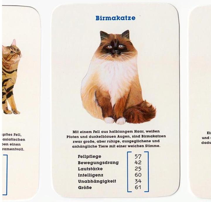 Productafbeelding 441050 - Kwartet - Katten. Best in Show - 2+ spelers, vanaf 8 jaar (editie DE) (Duits, 2 - 10 Spelers)