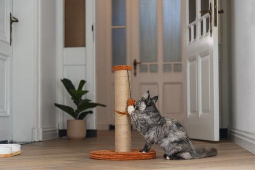 Produktbild Designed by Lotte Kratzbaum (50 cm, Terrakotta)