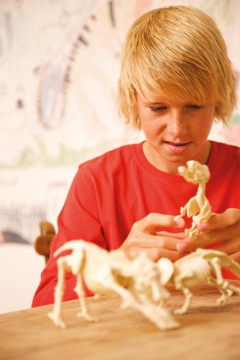 Actual product image 4M Dig a Stegosaurus Skeleton