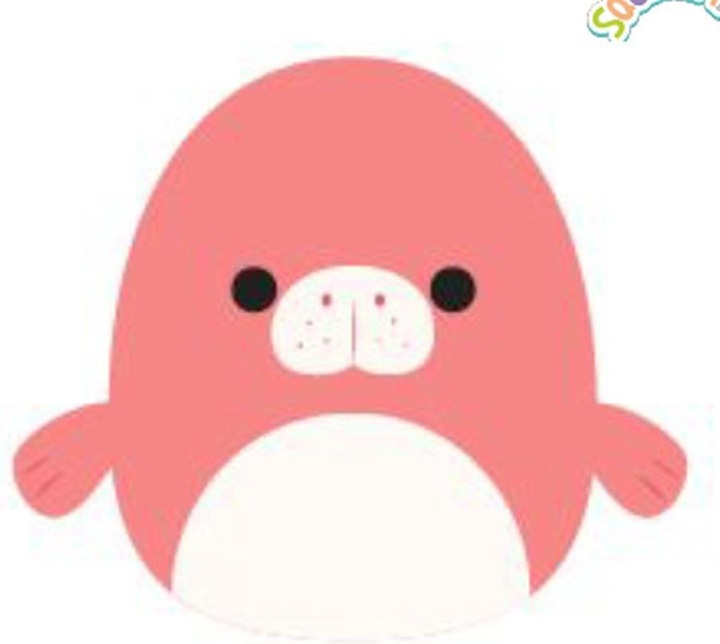 Immagine prodotto Squishmallows Lamantino (40 cm)