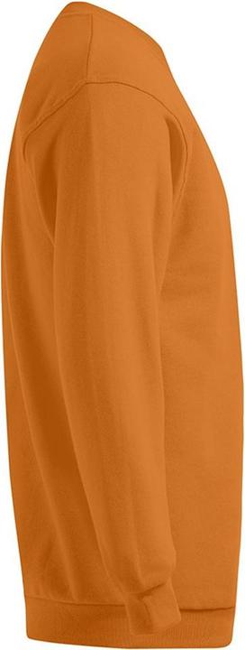 Produktbild Promodoro New Sweatshirt (L)