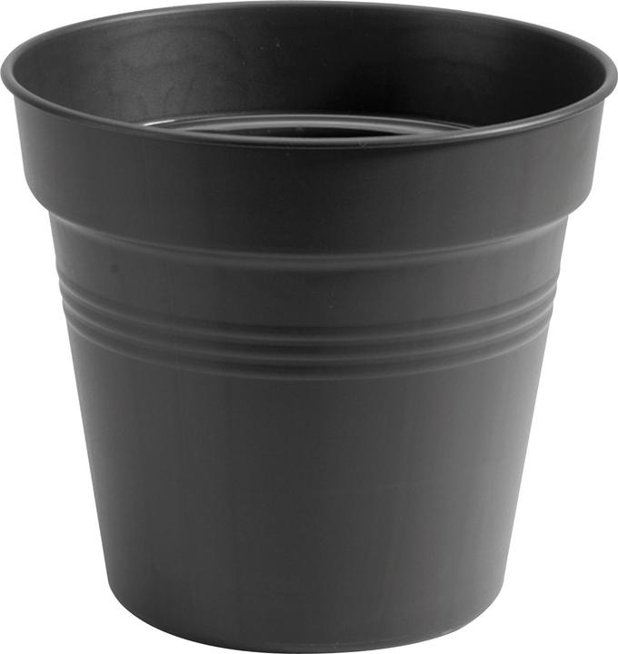 Actual product image Elho Green Basics (24 x 22 cm)