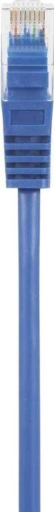 Actual product image Renkforce RF-5043862 RJ45 network cable, patch cable CAT 5e U/UTP 0.50 m blue with (U/UTP, CAT5e, 0.50 m)