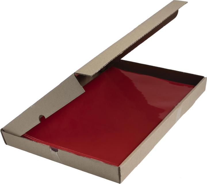 Immagine prodotto Exacompta Coperture e borse (A4, 100x)