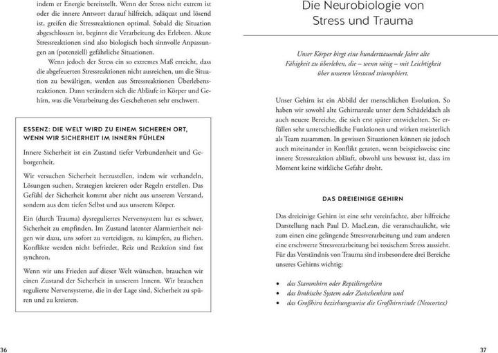 Produktbild Bin ich traumatisiert? (Deutsch, Verena König, 2021)