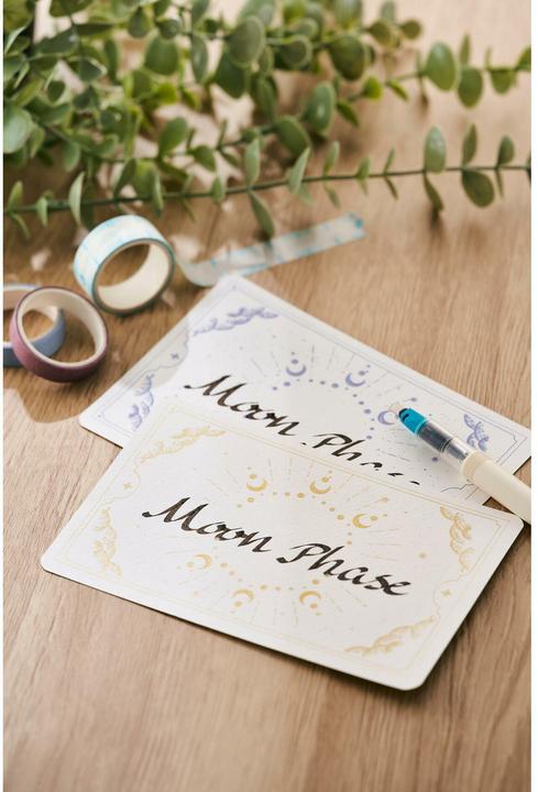 Actual product image Silhouette Curio 2