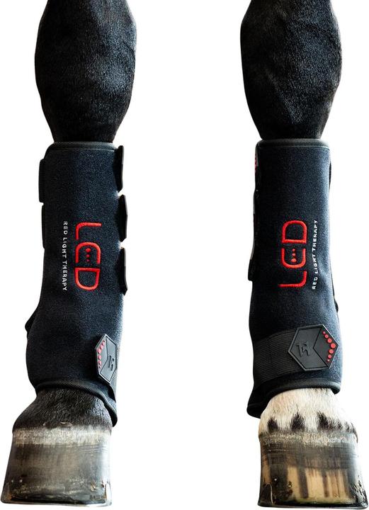 Immagine prodotto Horseware LED