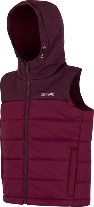 Produktbild Regatta Lofthouse Weste (128)