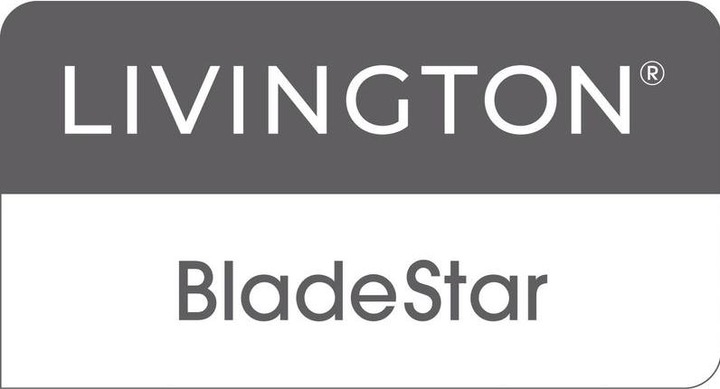 Actual product image Livington Knife sharpener