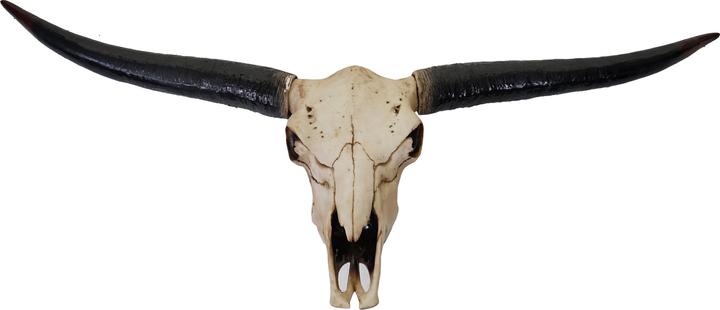 Image du produit JOHN316 Deko Schädel 132cm Stier
