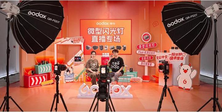 Actual product image Godox LE200Bi black - Litemons LED Light Bi-Color (Video light)