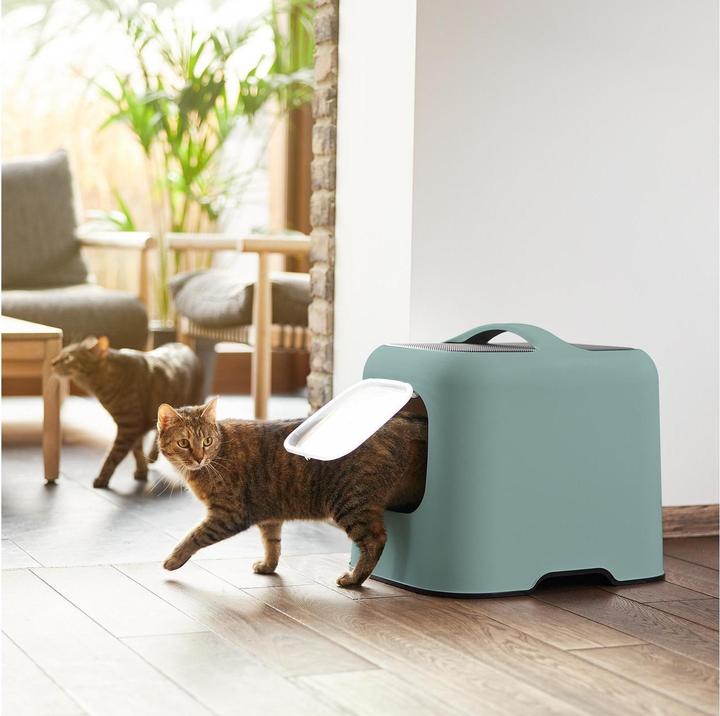 Actual product image Rotho Biala (Cat litter tray open)