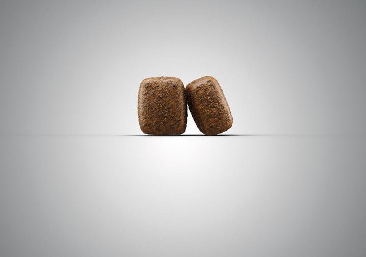 Produktbild Josera Nature Energetic (Adult, 1 Stk., 900 g)