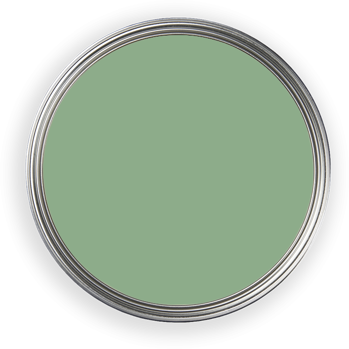 Ginkgo 057