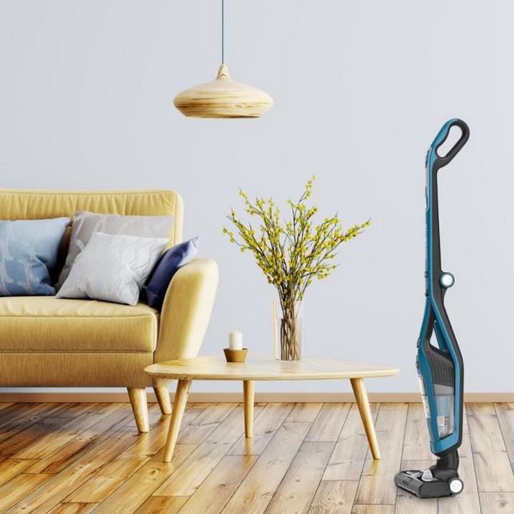 Actual product image Rowenta RH6756WO Dual Force 2 in 1