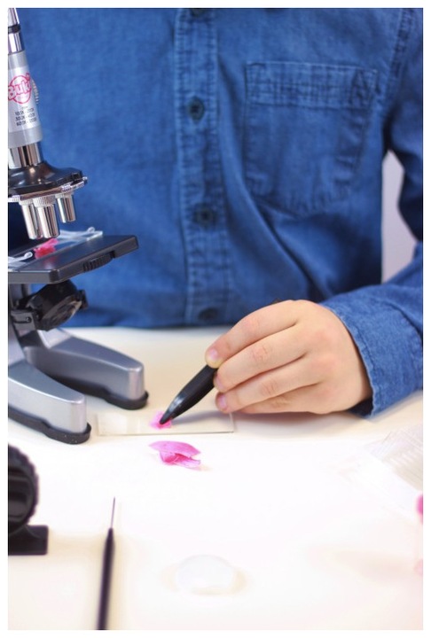 Image du produit Buki Microscope - 30 expériences