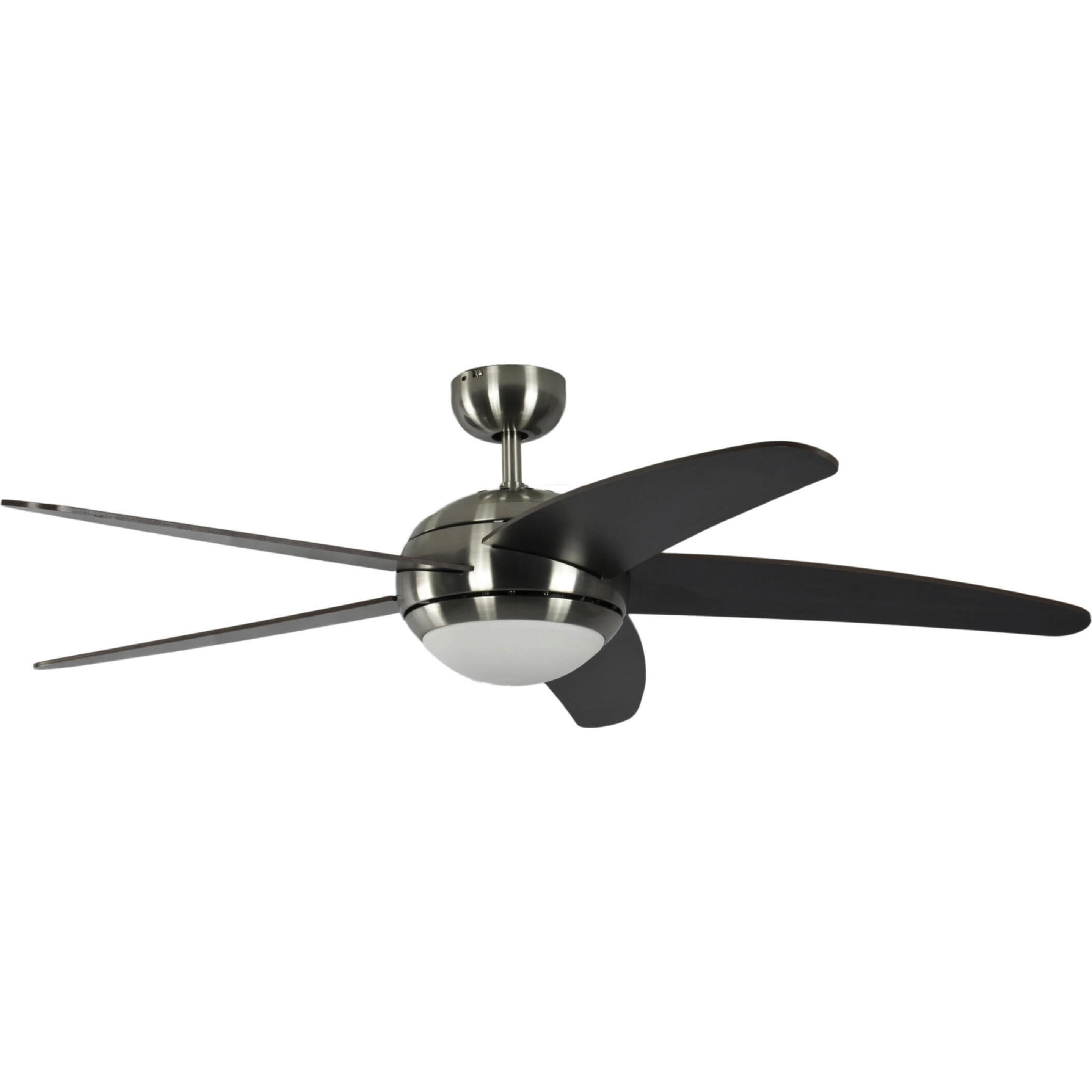 Pepeo Melton, Ventilator, Braun