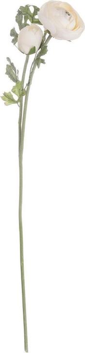 Immagine prodotto Hill Interiors Fiore artificiale Ranunculus (58 cm)