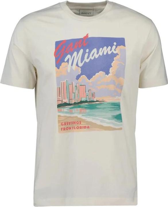 Actual product image GANT Graphic (S)