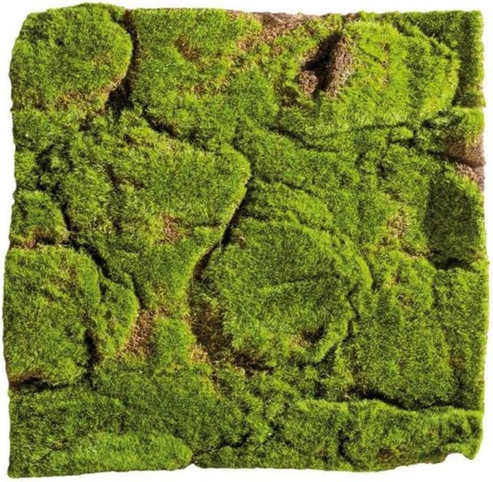 Actual product image Dekomat Moss mat 30 x 30 cm