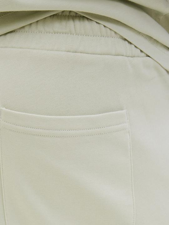 Actual product image Jack & Jones Jpstkane Vesterbro Sweat Shorts Mid Sn (L)