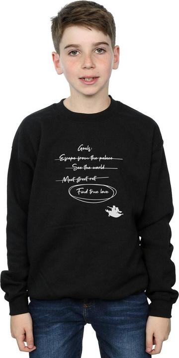 Produktbild Disney Aladdin Jasmine Goals Sweatshirt Jungen (116)