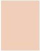 Actual product image Makeup Revolution Baking Powder (Lace)