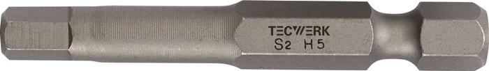 Image du produit Tecwerk Bit (1/4")