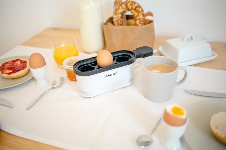 Actual product image Steba Ek 4