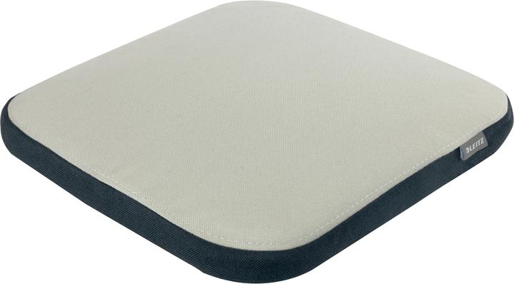 Leitz Ergo Active balance cushion (37 x 6 x 36.5 cm)