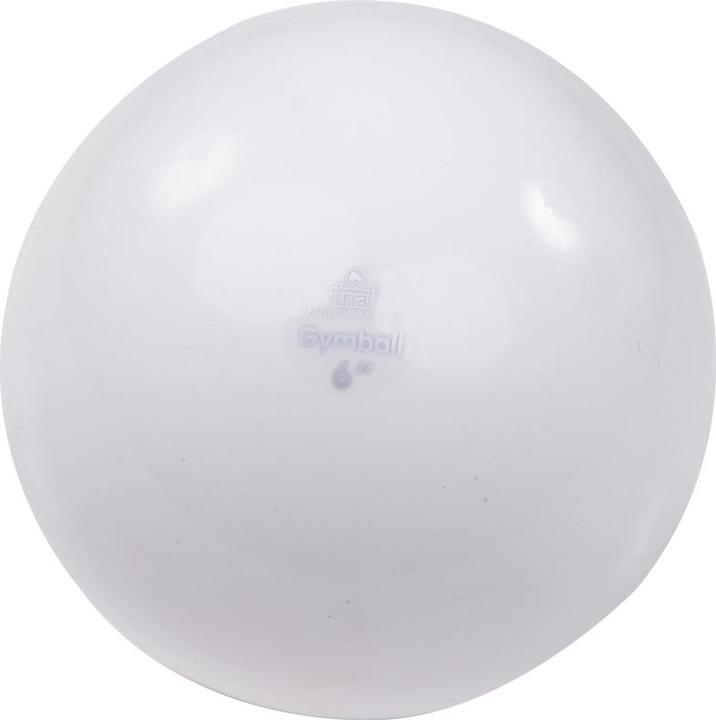 Immagine prodotto Trial ® Gymnastikball