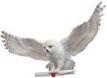 Actual product image Noble Collection Harry Potter - Hedwig (30 x 15 x 54 cm)