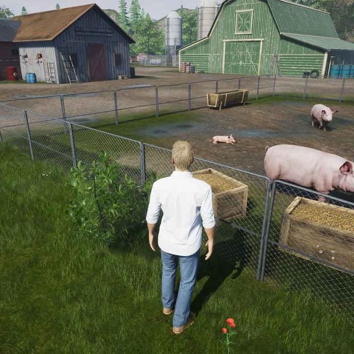 Actual product image Mindscape My Life: Farm Vet (PS5) (PS5)