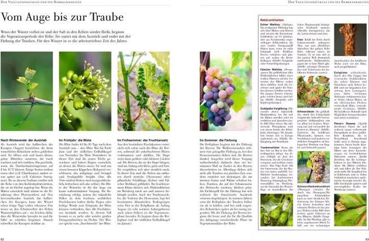 Produktbild Wein (Deutsch, Jens Priewe, 2017)