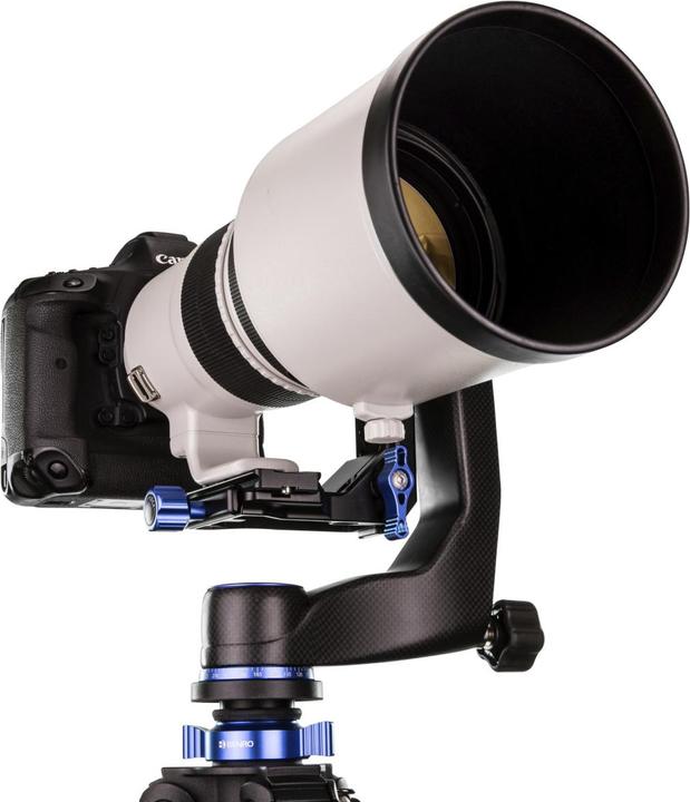 Immagine prodotto Benro Cardanica GH5C