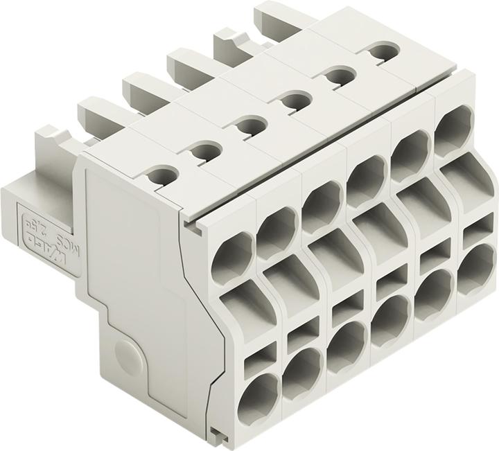 Actual product image Wago 2-wire female multipoint connector