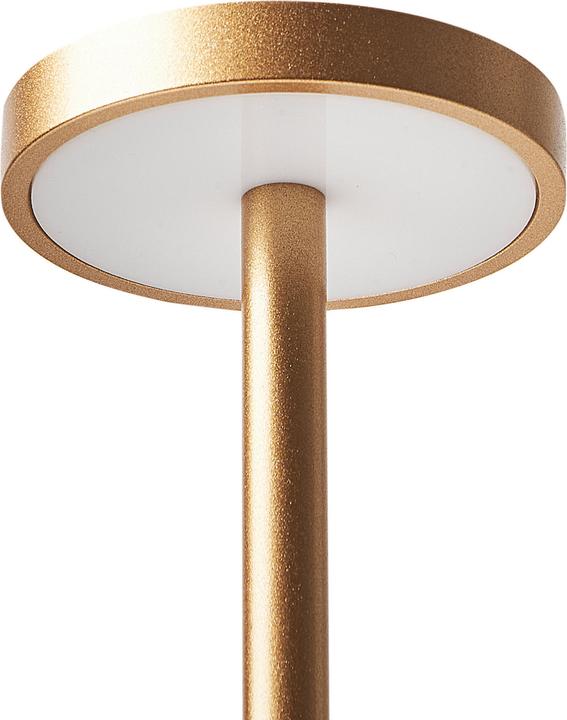 Image du produit Beliani Lizandro (150 lm)