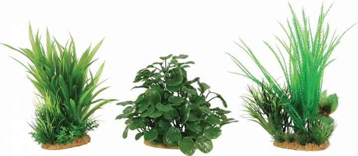 Zolux showcase factory M 6 pcs - B set (Dekoration, sonstige Gegenstände)