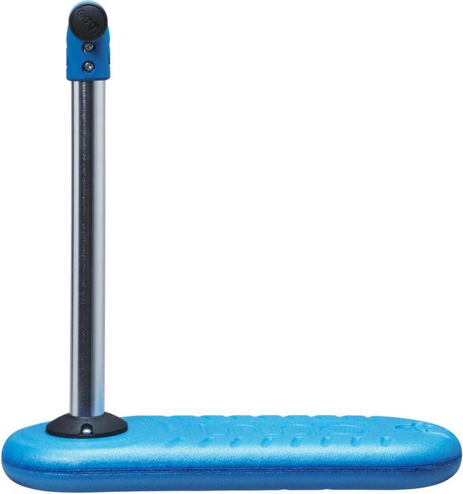 Actual product image Indo Bug