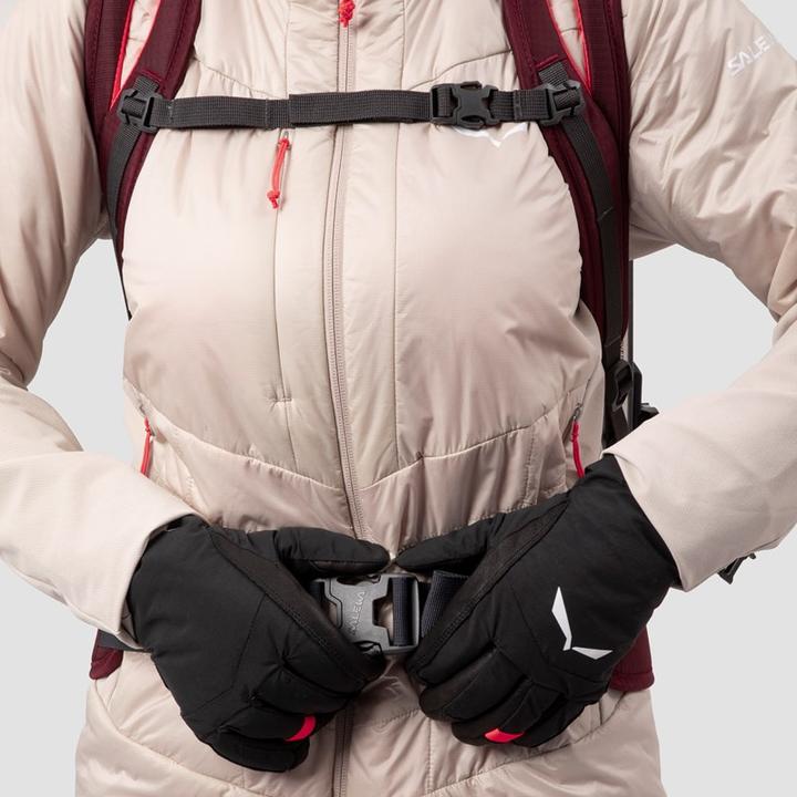 Produktbild Salewa Winter Mate L Rucksack Da (28 l)