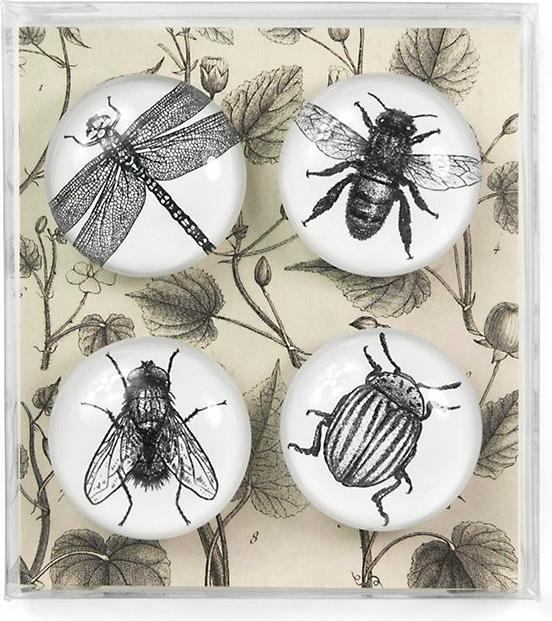 Produktbild Trendform Eye (4x)