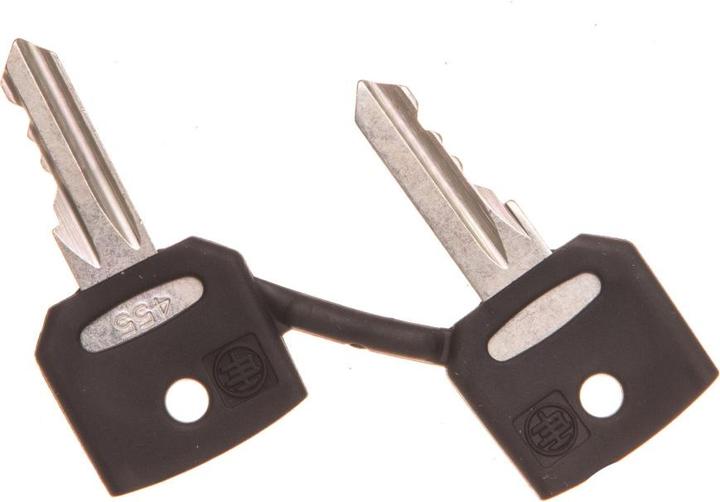 Produktbild Schneider Electric Ersatzschlüssel ZBG455 Set zu 2 Stück
