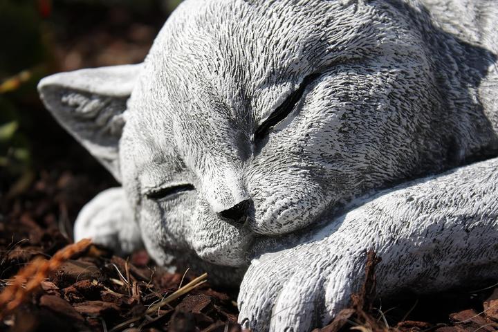 Image du produit Stoneandstyle Schlafende Katze